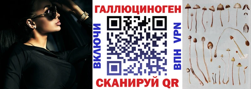 Псилоцибиновые грибы Cubensis  что такое   Сосенский 